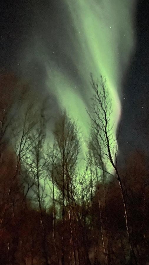 Stor Hytte I Olderfjord Villa Russenes Exteriör bild